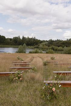 several wooden benches sitting in the grass near a body of water with flowers growing out of them