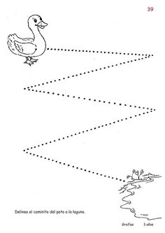 a duck is flying over the water with dotted lines