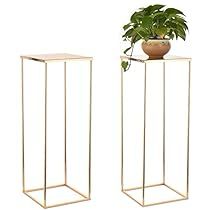 two metal plant stands with a potted plant on top and one in the middle