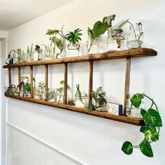 a wooden shelf filled with plants on top of a wall