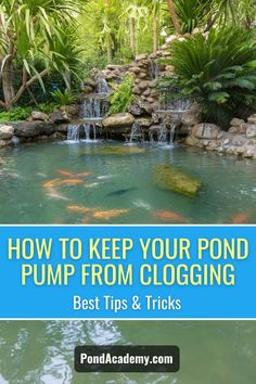 a pond with koi fish in it and text overlay that reads how to keep your pond pump from clogging best tips & tricks