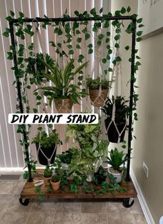 several potted plants are arranged on a shelf in front of a wall hanging planter