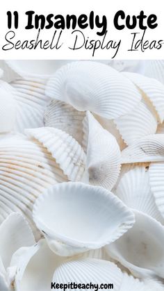 white seashells with text overlay that reads 11 insannely cute seashell display ideas