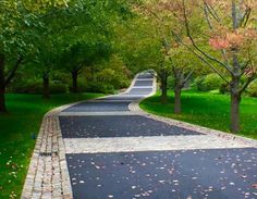 a paved road with trees lining both sides and an empty street on the other side