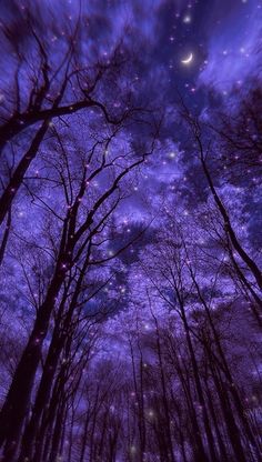 the night sky is purple and full of stars, as well as trees with no leaves