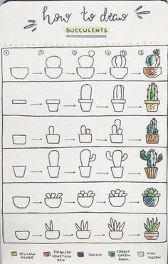 a hand drawn sheet with plants and words on it that says how to draw succulents