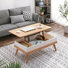 a living room with a couch, coffee table and potted plant on the floor