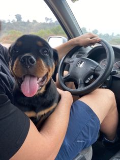 a man driving a car with his dog in the driver's seat and tongue hanging out