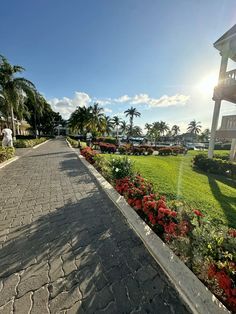 the walkway is lined with flowers and palm trees