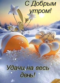 two oranges in the snow with white flowers on them and words written in russian