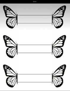 three butterflies with the names of their wings