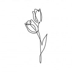 a single flower line drawing on a white background