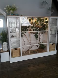 a display case with plants in it on top of a hard wood floored floor