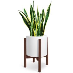 a potted plant is sitting on a stand with two legs and a wooden base