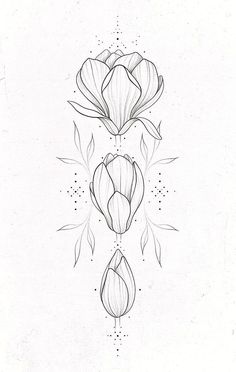 a line drawing of three flowers with leaves