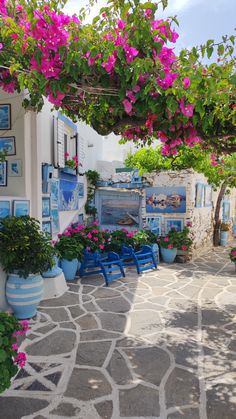 an outdoor patio with blue chairs and pink flowers on the tree, next to a white building