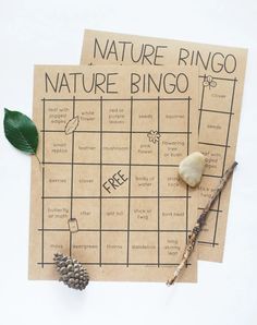 the nature ringo game is on top of a piece of paper with a pine cone