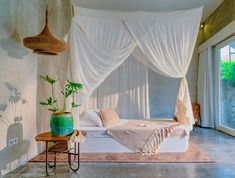 a bed with white drapes and a green plant on the end table next to it