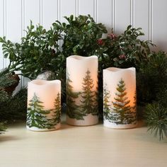 three lit candles sitting on top of a wooden table next to evergreen branches and pine cones