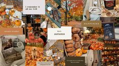 an autumn collage with pumpkins and other things