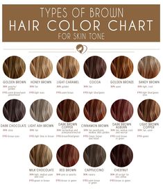 Chestnut Blonde Hair, Types Of Brown Hair, Chestnut Blonde, Types Of Brown, Brown Hair Color Chart, Medium Brown Hair Color, Brown Hair Color Shades, Golden Brown Hair Color, Loreal Hair