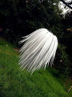 a large white feather sitting on top of a lush green field