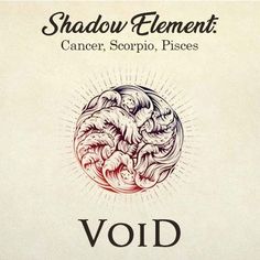 the front cover of void by shadow elements