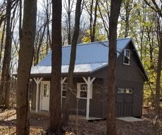 a small cabin in the woods surrounded by trees and leaves, with a metal roof