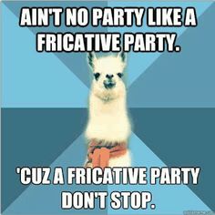 an alpaca saying it's not party like a fricative party