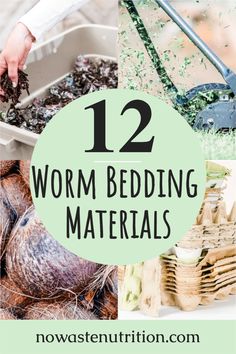 the 12 worm bedding materials that you can use in your home