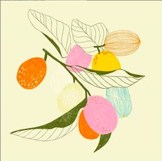 an orange tree branch with leaves and fruit on it's branches, painted in pastel colors