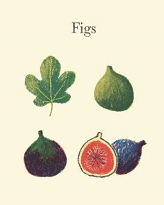 an illustration of figs with leaves and fruit on the bottom right hand corner, in color