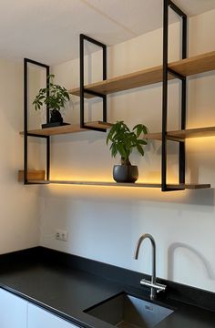 a kitchen sink under a shelf filled with potted plants