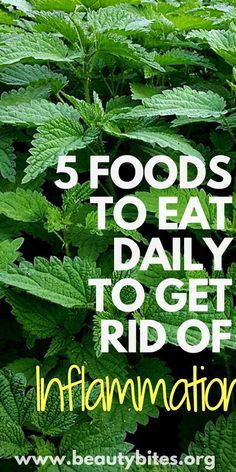 5 anti-inflammatory foods to eat daily. These foods fight inflammation, reduce pain and prevent disease according to research Beauty Bites