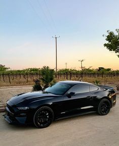 a black sports car parked in the middle of a parking lot next to a vineyard