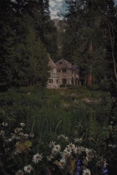 an old abandoned house in the woods surrounded by wildflowers