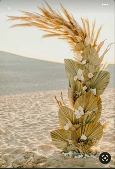 an arrangement of flowers and leaves in the sand