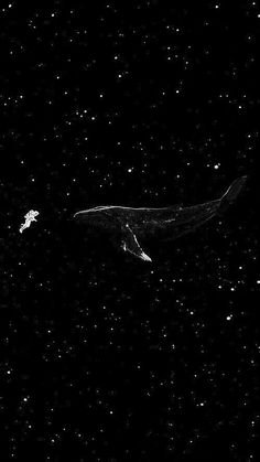 a black and white photo of an airplane flying through the night sky with stars in the background