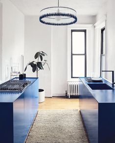 a kitchen with blue counter tops and an area rug on the floor that has a potted plant in it