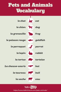 an animal's diet for dogs and cats is shown in red, with the words pets