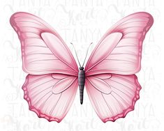 a pink butterfly with white lettering on it's back and the wings are open