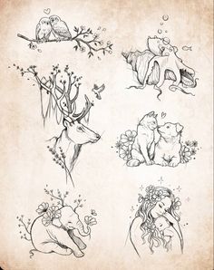 several drawings of animals and flowers on old paper