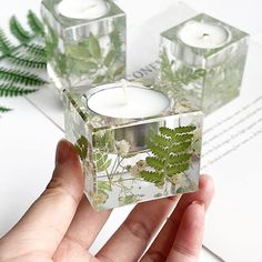 a person holding a glass candle holder with plants in it and leaves on the sides