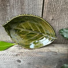 a green leaf shaped bowl sitting on top of a wooden table next to a plant