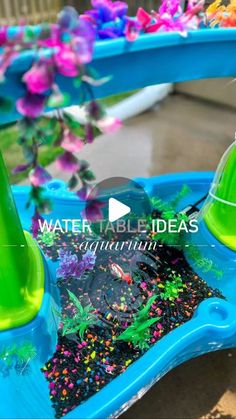 a blue and green water table with plants in it