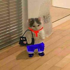 a cat that is standing in the floor with a bag on it's back