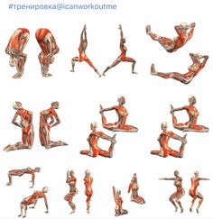 an image of a woman doing yoga poses in different positions and postures on a white background