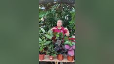 a man sitting on a bench surrounded by potted plants and other greenery in front of him