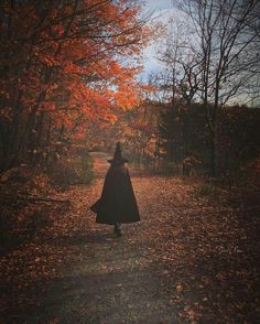 a woman in a cloak walking down a path through an autumn forest with leaves on the ground