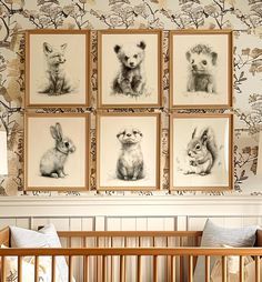 a baby's room with pictures on the wall and animals hanging above the crib